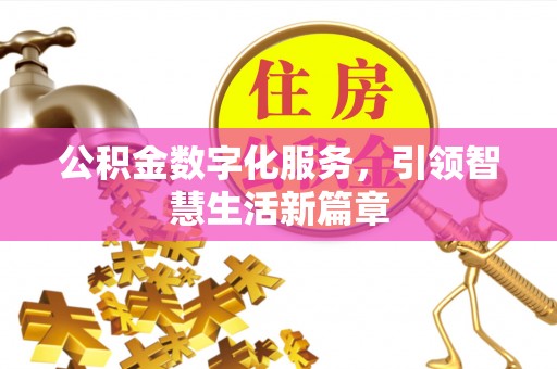 海南公积金数字化服务，引领智慧生活新篇章