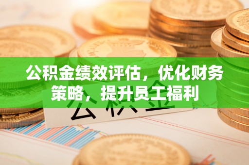 海南公积金绩效评估，优化财务策略，提升员工福利