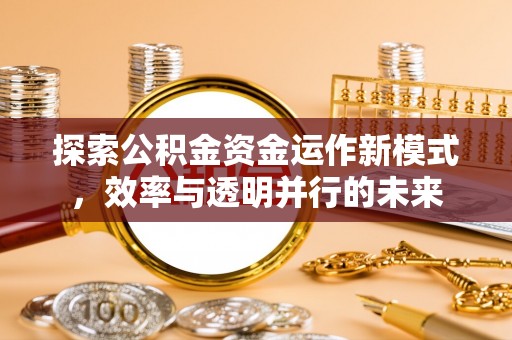 海南探索公积金资金运作新模式，效率与透明并行的未来