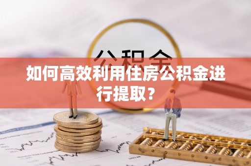 海南如何高效利用住房公积金进行提取？
