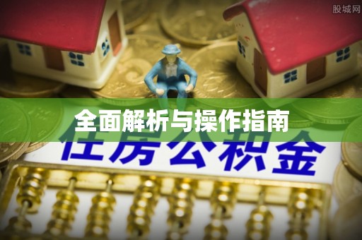 海南全面解析与操作指南