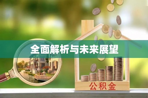 海南全面解析与未来展望