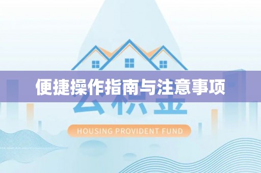 海南便捷操作指南与注意事项