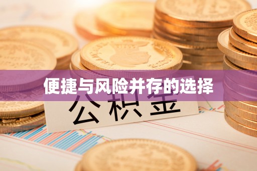 海南便捷与风险并存的选择